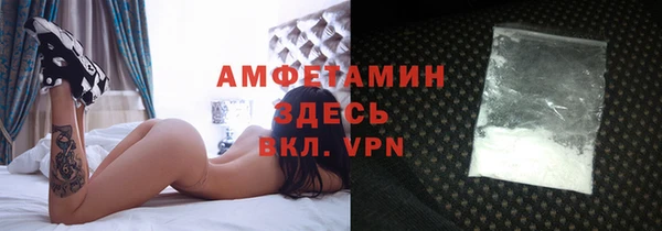 гашик Алексин