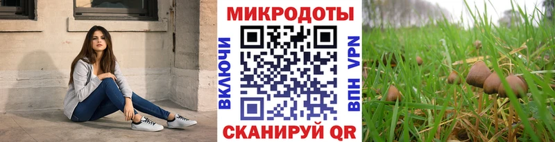 закладка  Зеленокумск  Галлюциногенные грибы ЛСД 