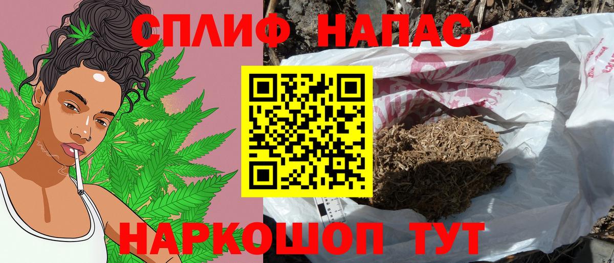 Каннабис гибрид Зеленокумск